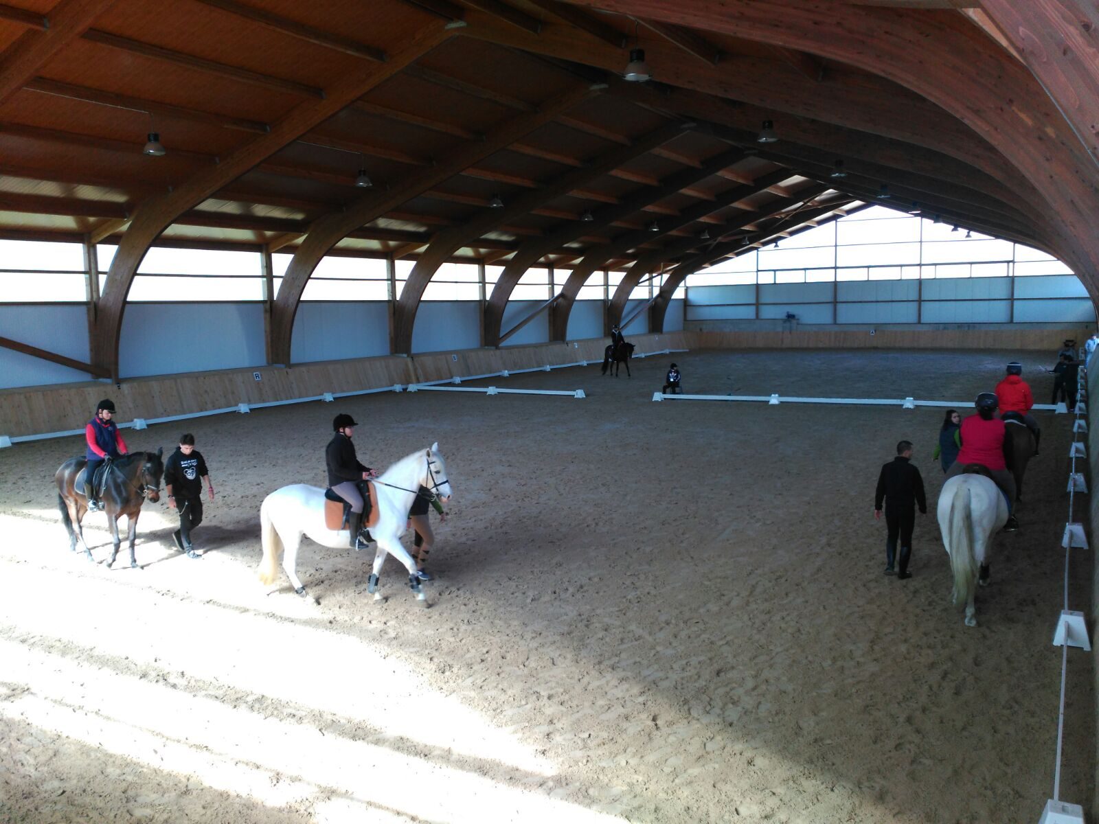5 deportistas del CD Asprosub Zamora participan durante toda semana en la Semana de Formación de Equitación en Yelz Pamplona