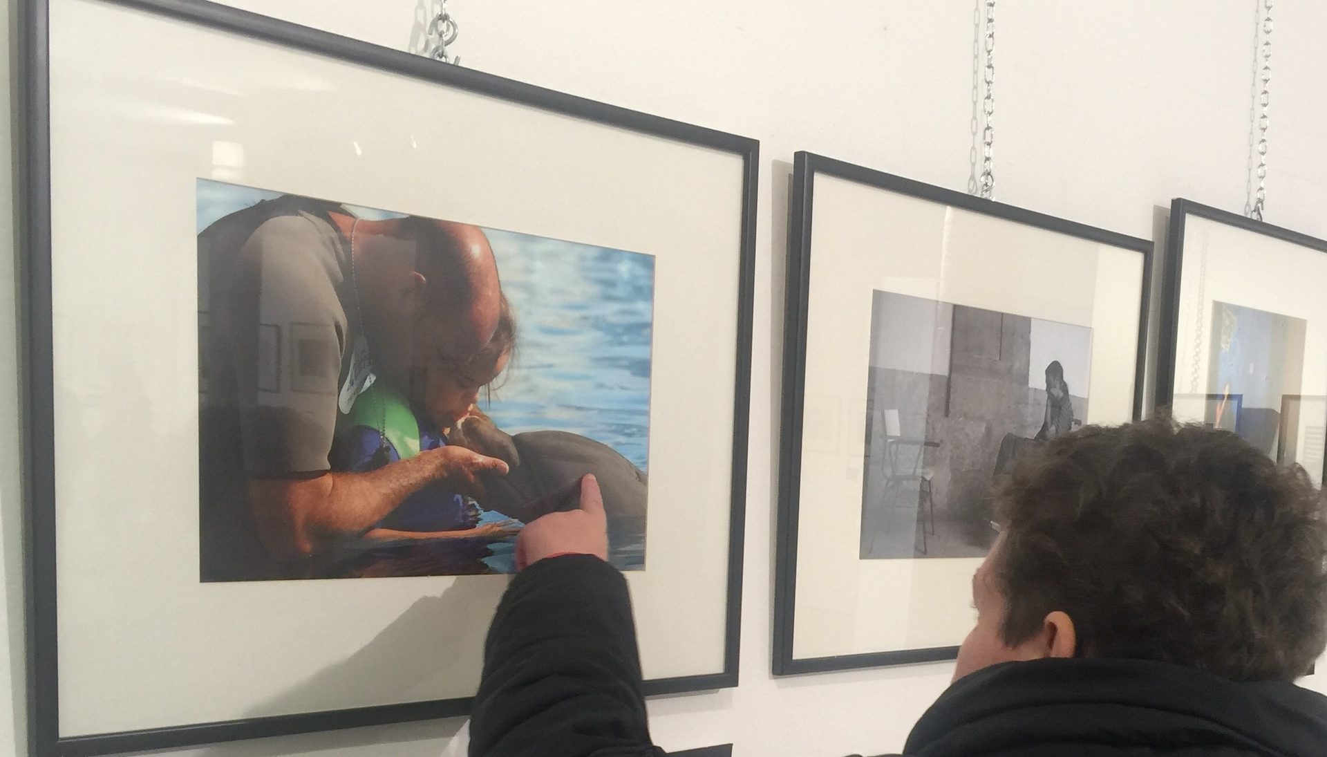 EXPOSICIÓN FOTOGRÁFICA "LAS PERSONAS CON DISCAPACIDAD EN LA VIDA COTIDIANA "