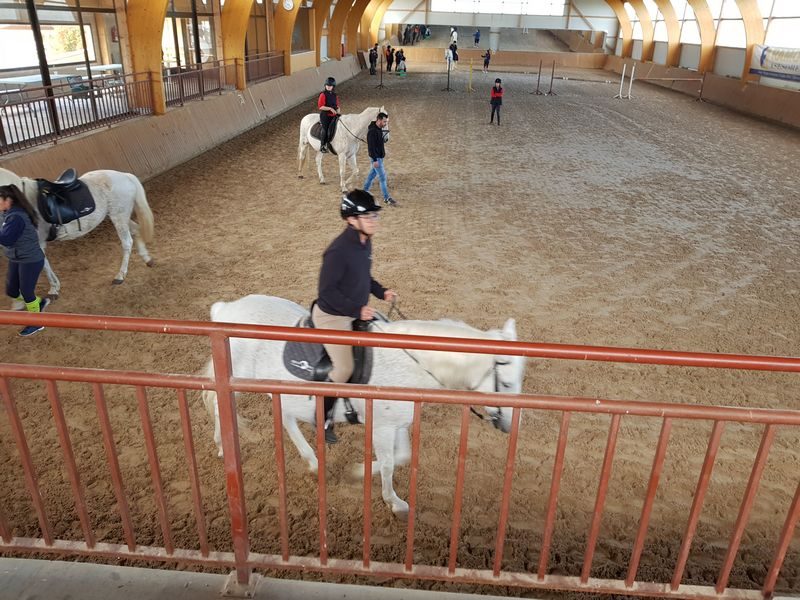 Entrenamiento equitación