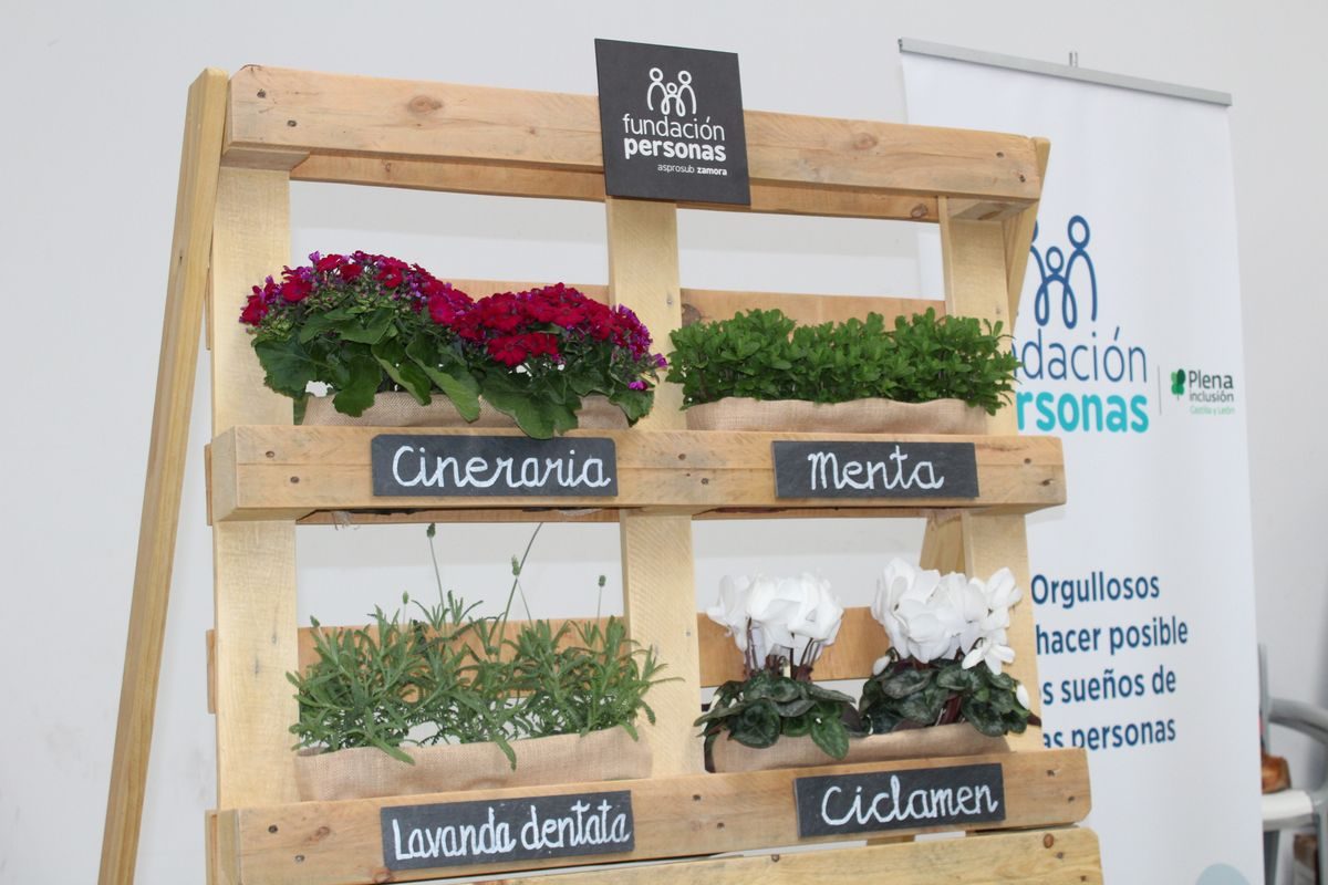 2ª Edición de la Feria Raíces de Zamora Rural
